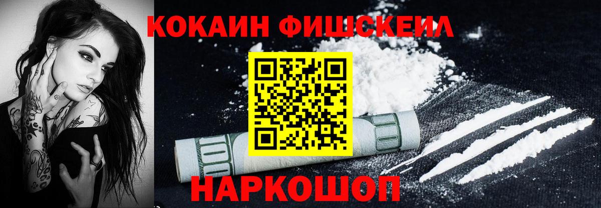 Ефремов  Cocaine Fish Scale  Вход с VPN  Кокаин  Cocaine VHQ 