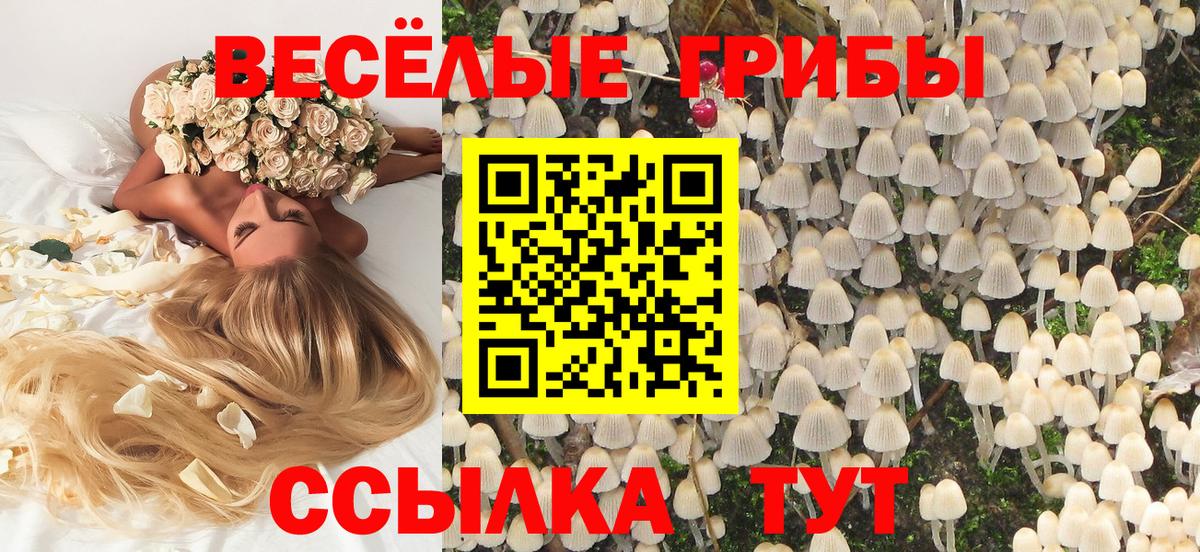 Псилоцибиновые грибы Magic Shrooms Ефремов