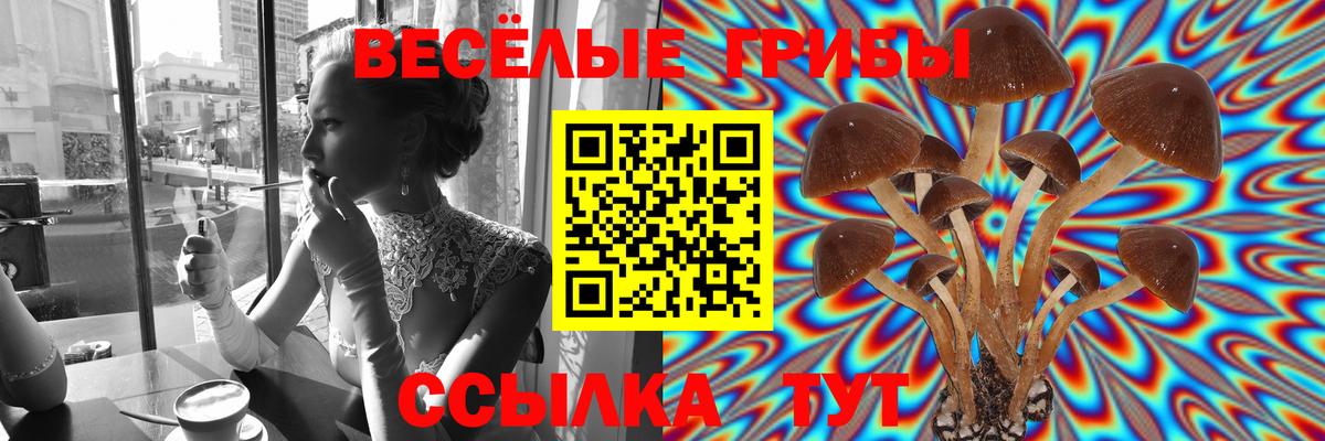 Псилоцибиновые грибы мицелий  сколько стоит  Ефремов  Вход с VPN 
